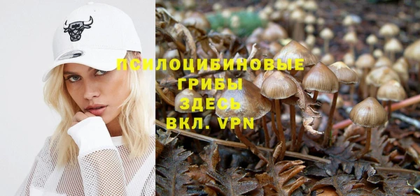 бошки Корсаков