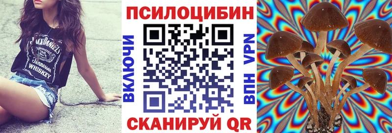 Псилоцибиновые грибы Psilocybe Тихвин