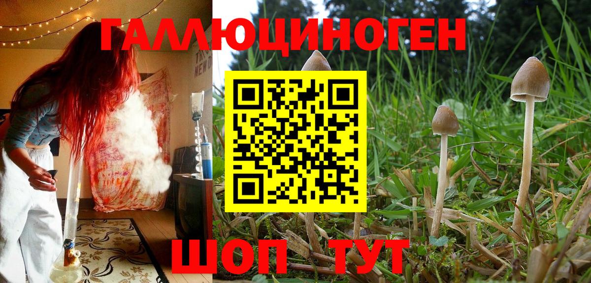 Тихвин  Псилоцибиновые грибы Magic Shrooms  Вход с VPN 