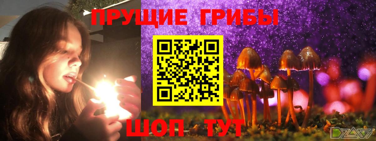 Псилоцибиновые грибы Magic Shrooms Тихвин