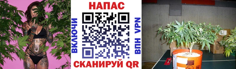 Марихуана AK-47  hydra вход  Тихвин 